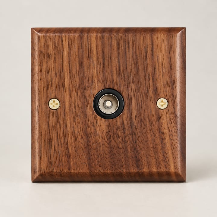 The Walnut and Brass Switch Plate, TV socket