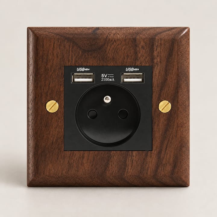 The Walnut and Brass Switch Plate, French socket with USB